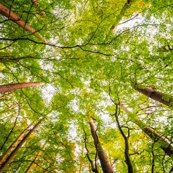 environnement-s environnement-s